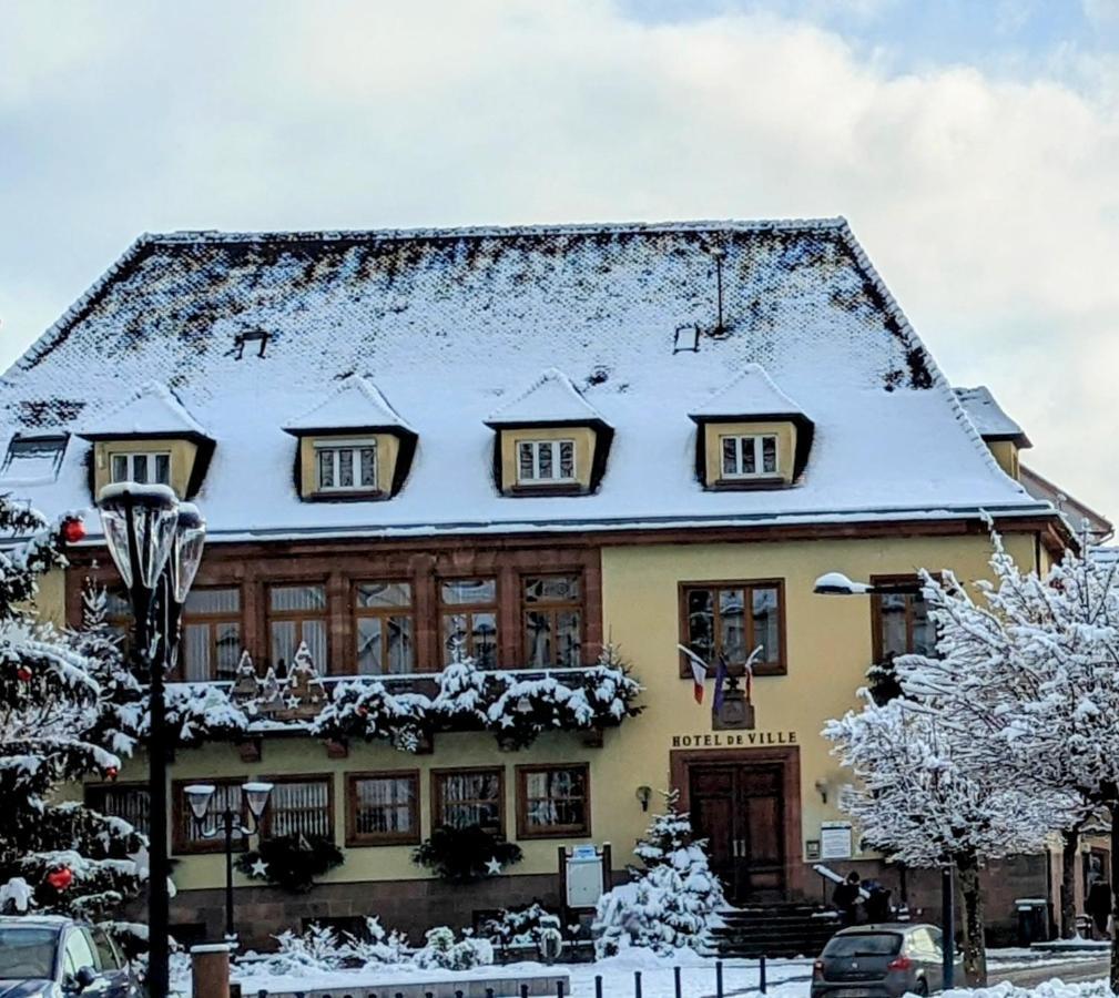Appartement Chez Mar'Tine Niederbronn-les-Bains Eksteriør billede